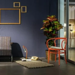 Hot 209 Armstoel Eetkamerstoelen