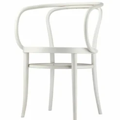 Hot 209 Armstoel Eetkamerstoelen