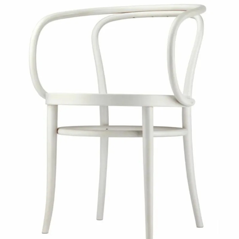 Hot 209 Armstoel Eetkamerstoelen