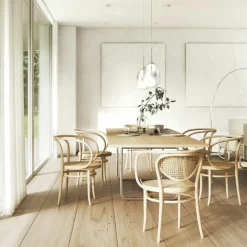 Hot 209 Armstoel Eetkamerstoelen