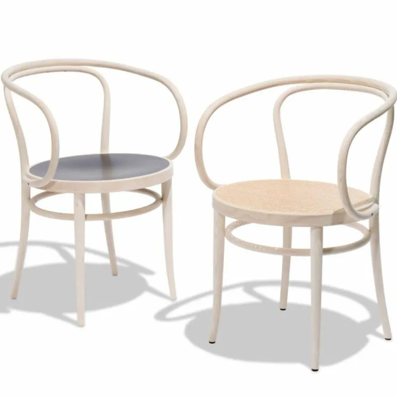 Hot 209 Armstoel Eetkamerstoelen