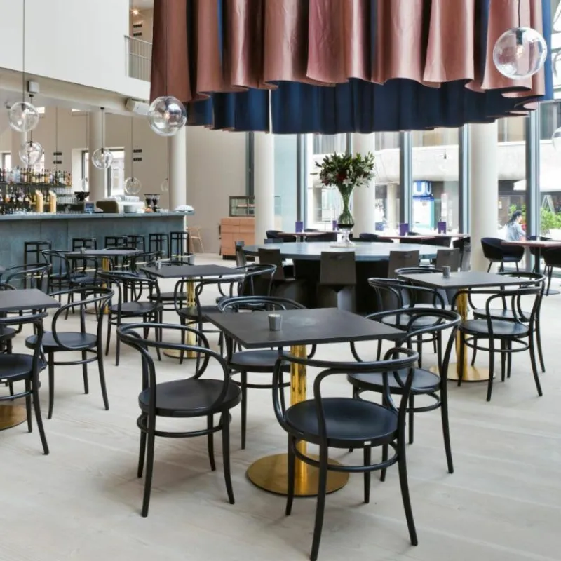 Hot 209 Armstoel Eetkamerstoelen