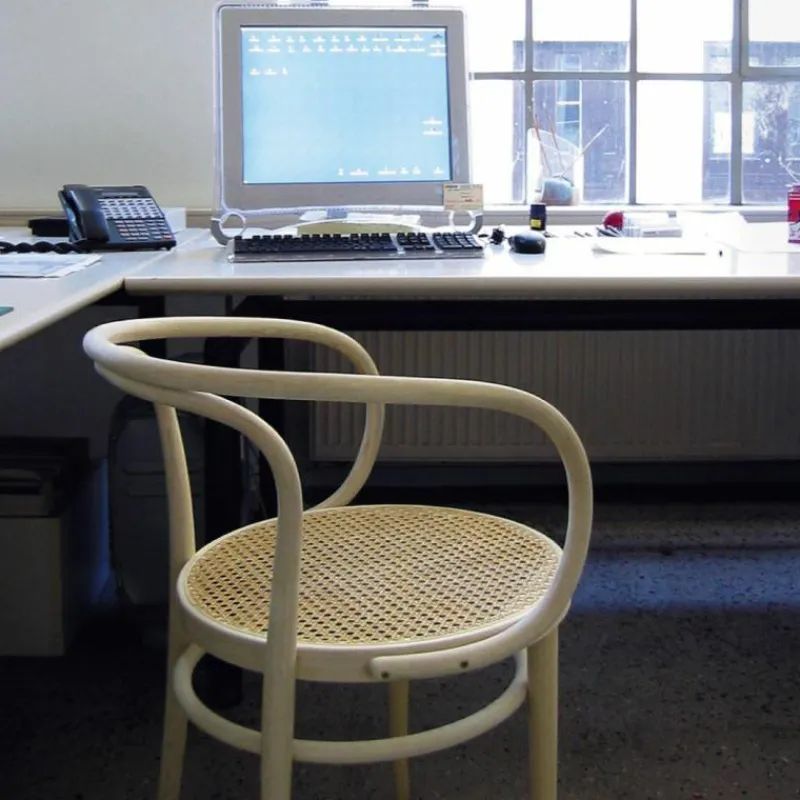 Hot 209 Armstoel Eetkamerstoelen