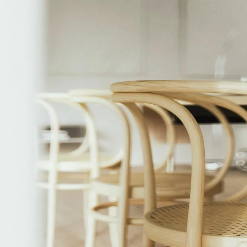 Hot 209 Armstoel Eetkamerstoelen