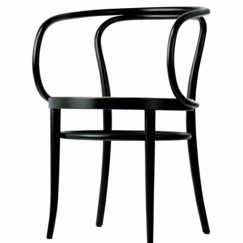 Hot 209 Armstoel Eetkamerstoelen