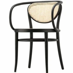 Hot 209 Armstoel Eetkamerstoelen