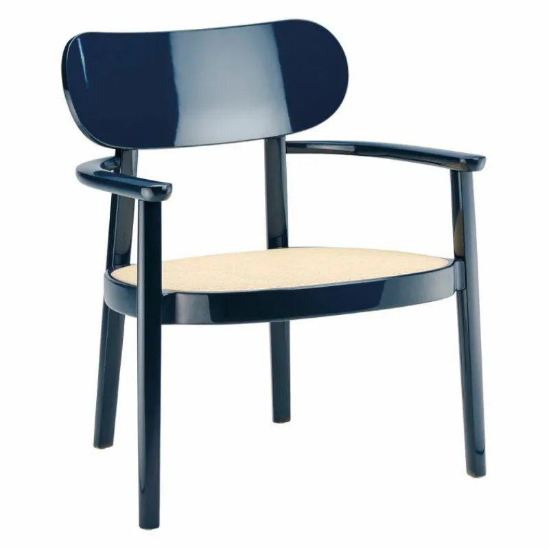 Online 119 F Loungestoel Loungestoelen