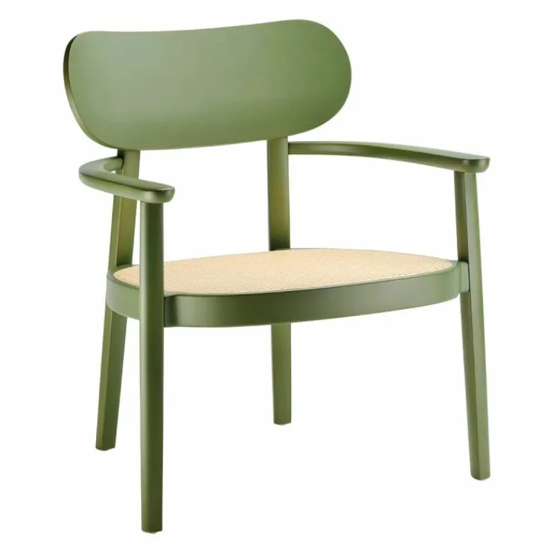 Online 119 F Loungestoel Loungestoelen
