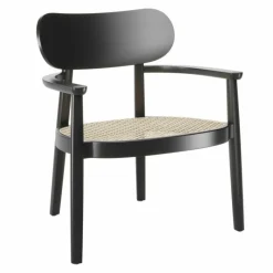 Online 119 F Loungestoel Loungestoelen