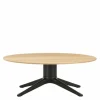 Abalon Salontafel Salontafels