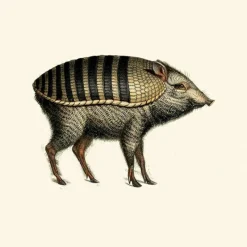 Hot Armoured Boar Behang Behang