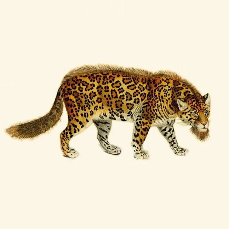 Sale Bearded Leopard Behang Blackened Gold Behang