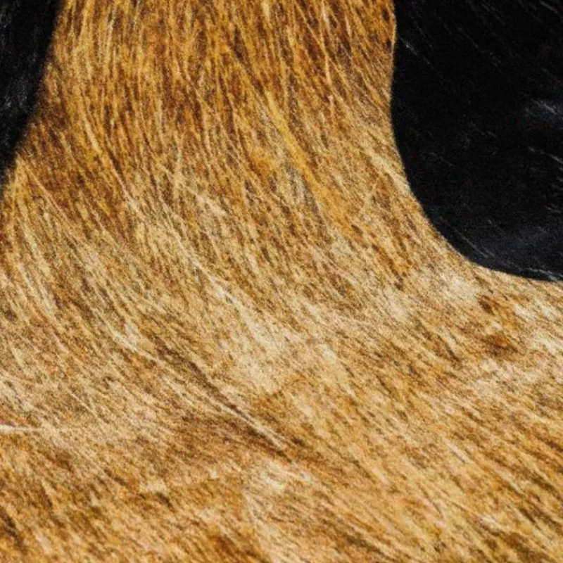 Bearded Leopard Vloerkleed Vloerkleden