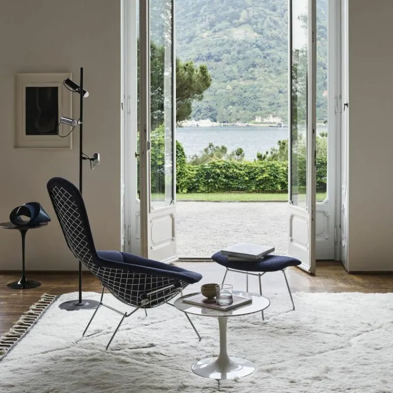 Outlet Bertoia Bird Fauteuil Fauteuils