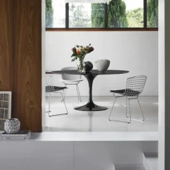 Online Bertoia Side Chair Eetkamerstoelen
