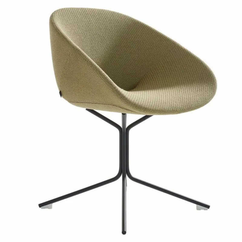 Beso Armstoel Eetkamerstoelen
