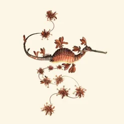 Sale Blooming Seadragon Behang Anthracite Behang