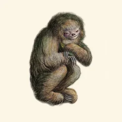 Clearance Blushing Sloth Behang Sepia Behang
