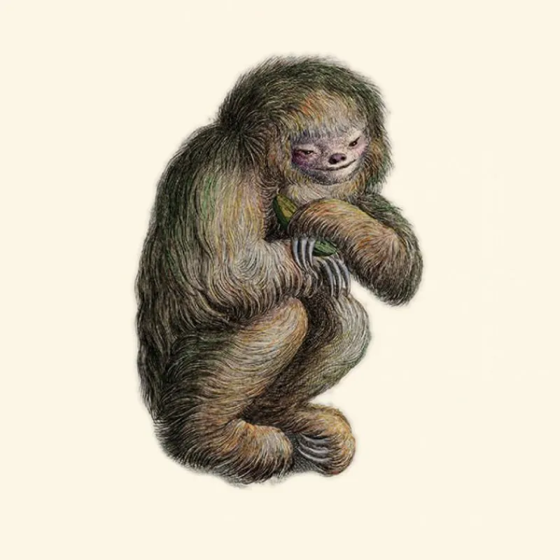 Clearance Blushing Sloth Behang Sepia Behang