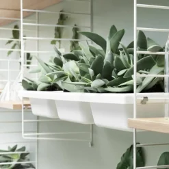 Clearance Bowl Shelf Opbergbak Organizers|Opbergsystemen