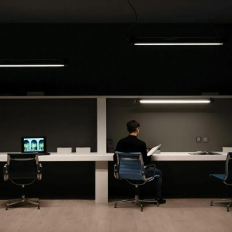 New Brueghel Direct/Indirect Hanglamp Hanglampen