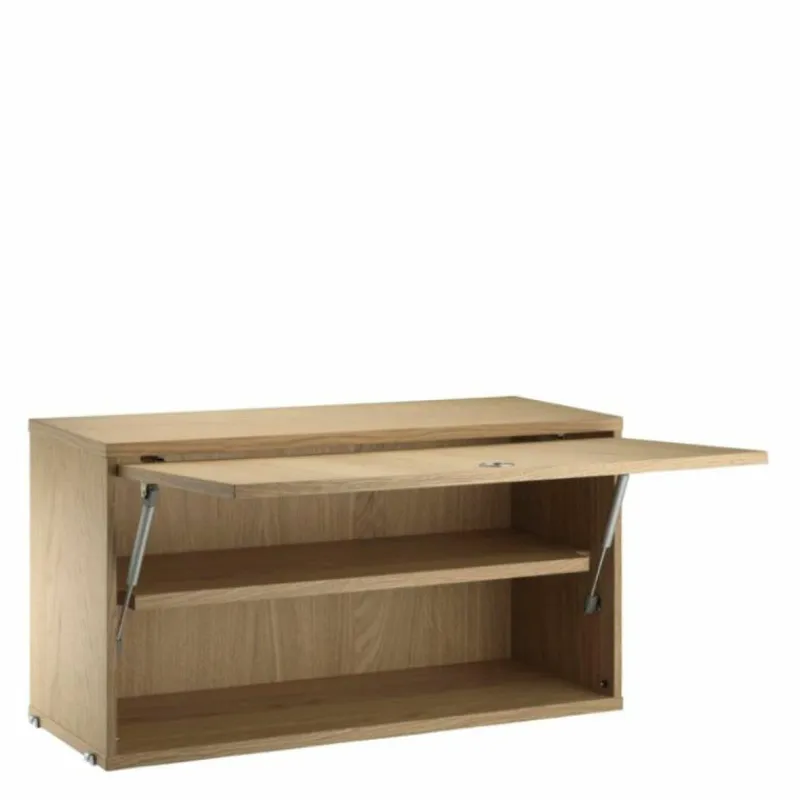 Sale Cabinet with Flip Door Opbergkastjes|Opbergkasten