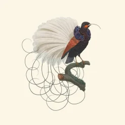 Best Calligraphy Bird Behang Ash Behang