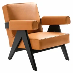 Hot Capitol Complex Armchair Fauteuils