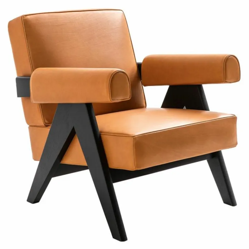 Hot Capitol Complex Armchair Fauteuils