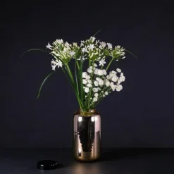 Outlet Container High Vaas Vazen