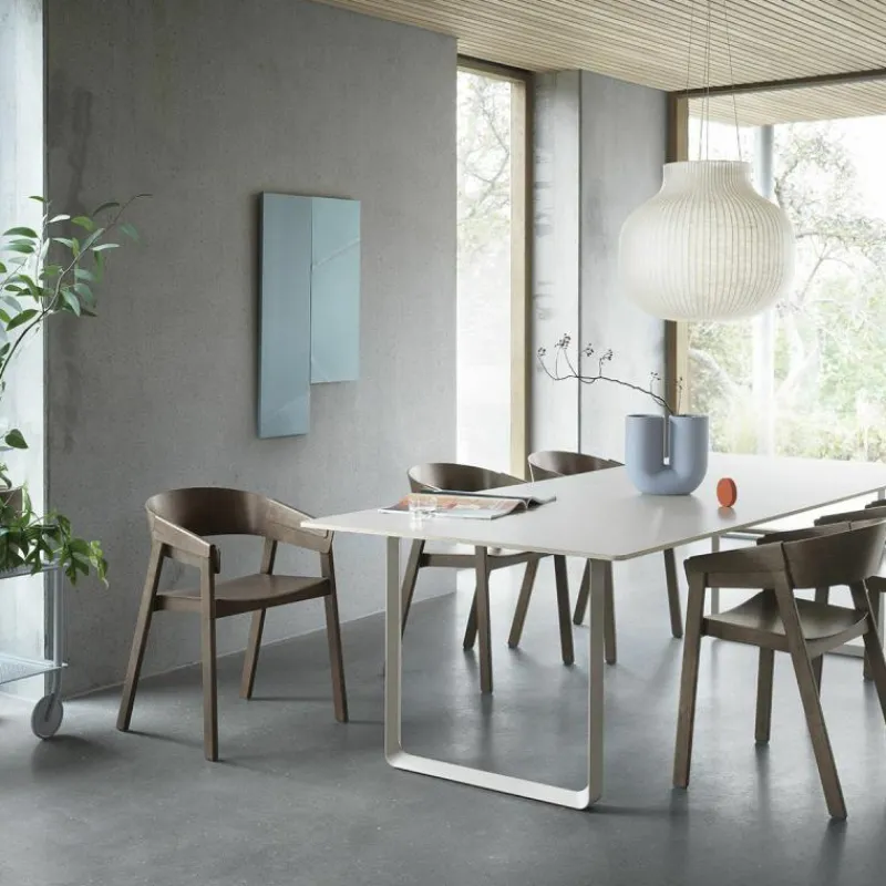 Clearance Cover Stoel Eetkamerstoelen