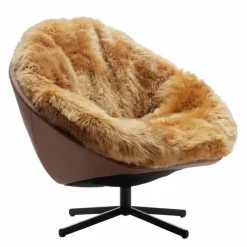 DS-265 Fauteuil Fauteuils