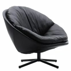 DS-265 Fauteuil Fauteuils