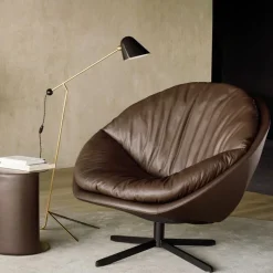 DS-265 Fauteuil Fauteuils