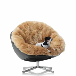 DS-265 Fauteuil Fauteuils