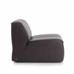Clearance DS-910 Fauteuil Fauteuils
