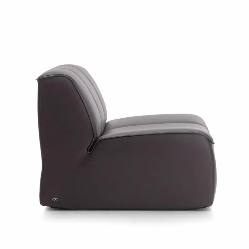 Clearance DS-910 Fauteuil Fauteuils
