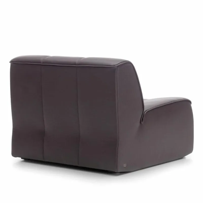 Clearance DS-910 Fauteuil Fauteuils