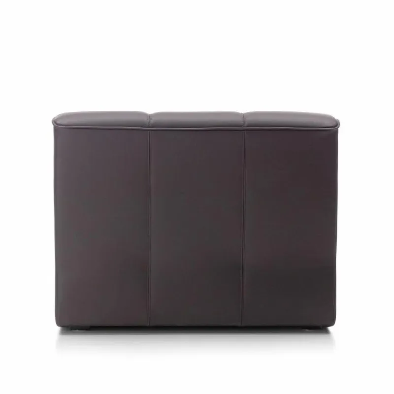 Clearance DS-910 Fauteuil Fauteuils
