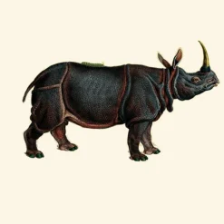 Clearance Dwarf Rhino Behang Brick Behang