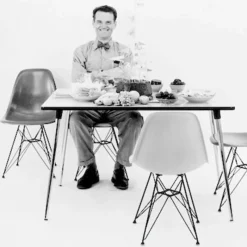 Online Eames Fiberglass Chair DSR Eetkamerstoelen