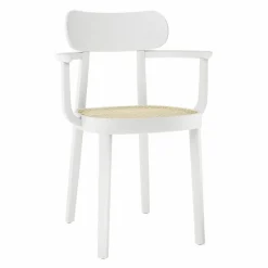 Outlet 118F Armstoel Eetkamerstoelen