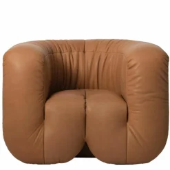 Hot Flowing Serpentines DS-707 Fauteuil Fauteuils