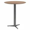 Clearance Fly Bartafel Bartafels