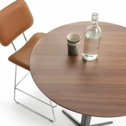 Clearance Fly Bartafel Bartafels
