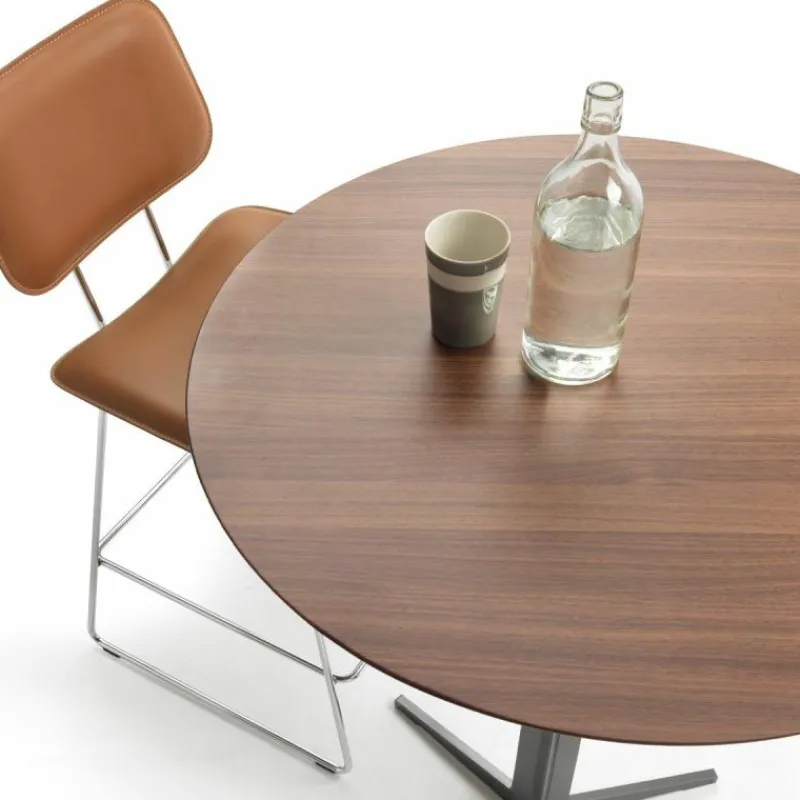 Clearance Fly Bartafel Bartafels