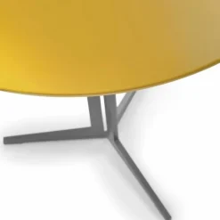 Clearance Fly Bartafel Bartafels