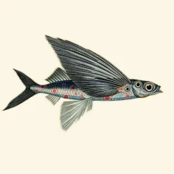Sale Flying Coral Fish Behang Pacific Blue Behang