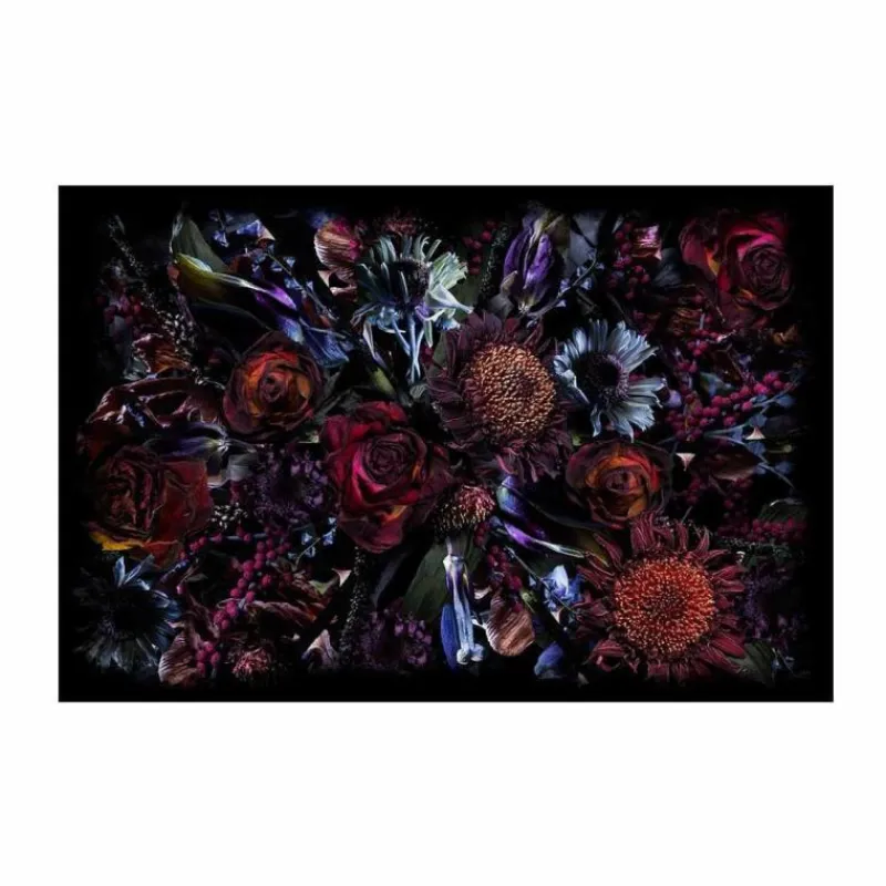 Clearance Fool's Paradise Rectangle Vloerkleed Vloerkleden