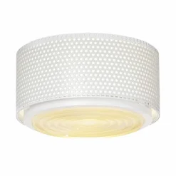 New G13 Lamp Plafondlampen